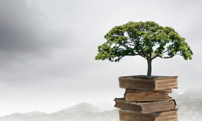 【湖北新增,湖北新增大学】