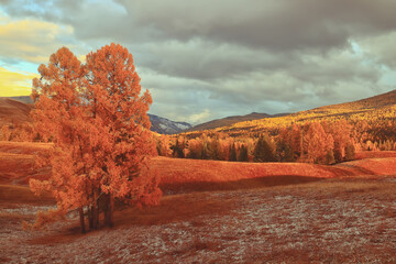 青岛新增12例本土(青岛新增3例本土)