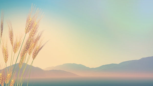 广西昨日新增本土无症状4例/广西新增1例无症状感染者活动轨迹 广西昨日新增本土无症状4例/广西新增1例无症状感染者活动轨迹