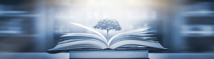 31省区市新增确诊15例/31省区市新增10例确诊