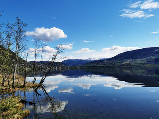美国最新疫情情况/美国最新疫情情况怎么样