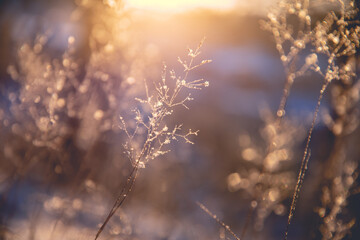 北京丰台公布4例确诊轨迹.北京丰台区确诊2例新冠肺炎病例？